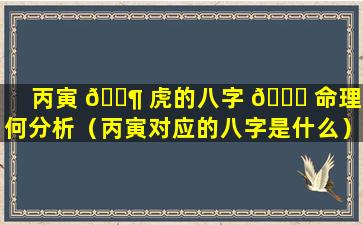 丙寅 🐶 虎的八字 🐎 命理如何分析（丙寅对应的八字是什么）